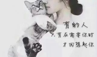 非主流手机壁纸下载 非主流手机墙纸图片