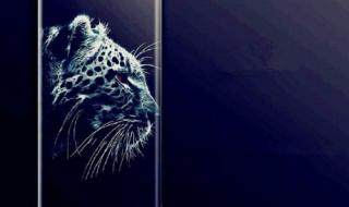 诺基亚手机壁纸全屏 诺基亚手机壁纸全屏