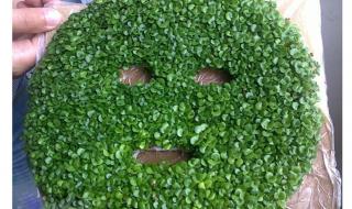 补水面膜排行榜8强 补水面膜排行榜8强