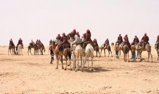 撒哈拉沙漠有人居住的地方 荒野求生撒哈拉沙漠
