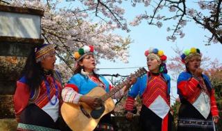 张惠妹名字的由来 彩虹张惠妹