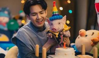 张子枫吴磊 张子枫吴磊