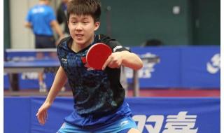 王楚钦和王艺迪是姐弟吗 王楚钦个人资料简介