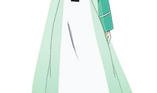 魔法科学院的劣等生女主 魔法科高校的劣等生3