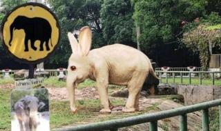 动物园怪谈的幕后主使是谁 动物园规则怪谈原文